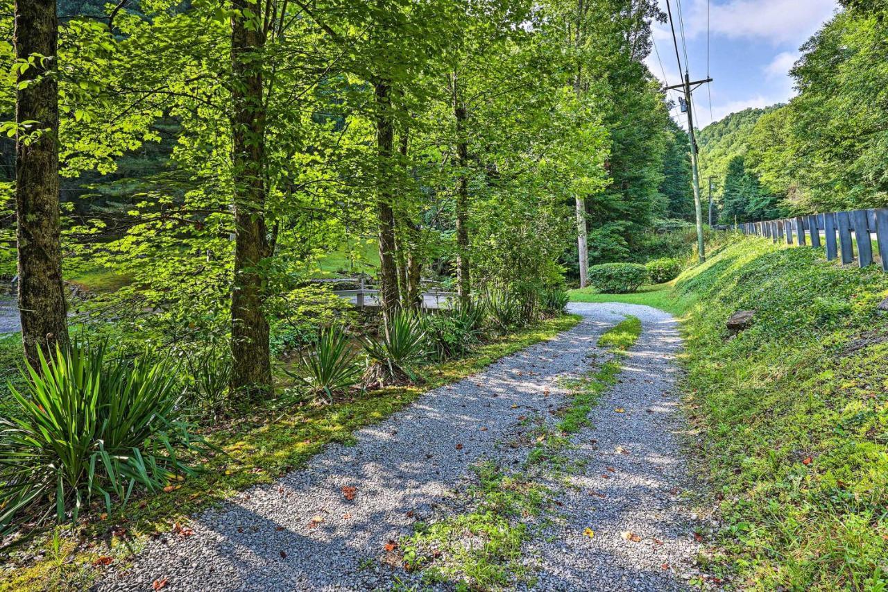 Creekside Roan Mountain Cabin Walk To Trails Exterior photo