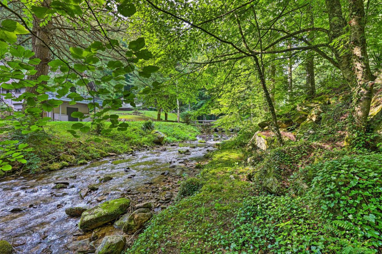 Creekside Roan Mountain Cabin Walk To Trails Exterior photo